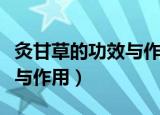 灸甘草的功效与作用图片大全（灸甘草的功效与作用）