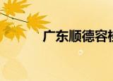 广东顺德容桂邮编（容桂邮编）
