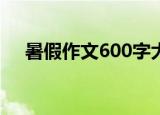 暑假作文600字大全（关于暑假的作文）