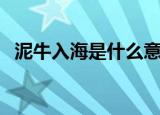 泥牛入海是什么意思（泥牛入海是啥意思）