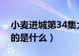 小麦进城第34集大结局（电视剧小麦进城讲的是什么）