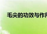 毛尖的功效与作用（喝毛尖的好处盘点）