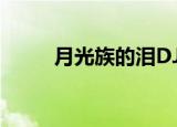 月光族的泪DJ何鹏（月光族的泪）