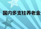 国内多支柱养老金计划可考虑借鉴国际经验