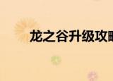 龙之谷升级攻略（有什么升级技巧）