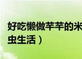 好吃懒做芊芊的米虫生活免费阅读（芊芊的米虫生活）