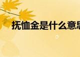 抚恤金是什么意思（抚恤金的意思介绍）