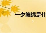 一夕缠绵是什么意思（一夕缠绵）
