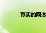 真实的网恋故事（网恋故事）