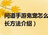 问道手游鬼宠怎么洗练（问道手游鬼宠洗炼成长方法介绍）