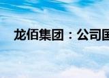 龙佰集团：公司国际销量占比将逐步提升