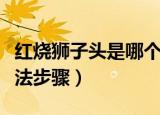 红烧狮子头是哪个地方的菜（红烧狮子头的做法步骤）