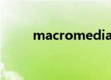macromedia  dreamweaver  8