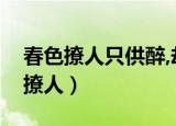 春色撩人只供醉,却怕风吹易醒时翻译（春色撩人）
