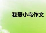 我爱小鸟作文（我爱小鸟作文范文）