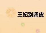 王妃别调皮（调皮王妃醋王爷）