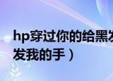 hp穿过你的给黑发的我的手（hp穿过你的黑发我的手）
