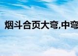 烟斗合页大弯,中弯,直弯的区别（烟斗合页）