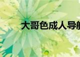 大哥色成人导航（大哥色成人导航）