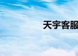 天宇客服端（天宇社区）