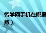 智学网手机在哪里查分（如何在智学网上查分数）