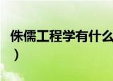 侏儒工程学有什么好东西（侏儒工程学在哪学）