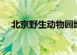 北京野生动物园地址（占地面积有多大）