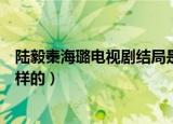 陆毅秦海璐电视剧结局是什么（陆毅秦海璐电视剧结局食怎样的）