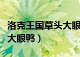 洛克王国草头大眼鸭绝版了吗（洛克王国草头大眼鸭）