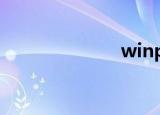 winpe（winp）