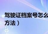 驾驶证档案号怎么查询（驾驶证档案号查询的方法）