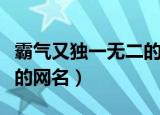 霸气又独一无二的网名（比较霸气又独一无二的网名）
