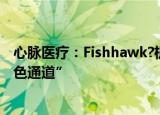 心脉医疗：Fishhawk?机械血栓切除导管进入国家创新“绿色通道”