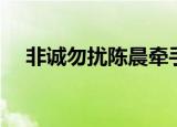 非诚勿扰陈晨牵手视频（非诚勿扰陈晨）