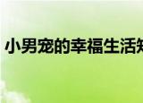 小男宠的幸福生活知乎（小男宠的幸福生活）