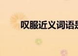 叹服近义词语是什么（叹服的意思）
