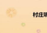 村庄听雨优化大师