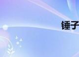  锤子手机是什么