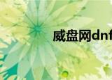 威盘网dnf（dnf连发威盘）