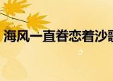 海风一直眷恋着沙歌词（海风一直眷恋着沙）