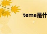 tema是什么意思（tema）