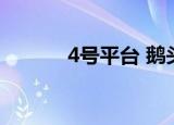 4号平台 鹅头 阿子（4号平台）