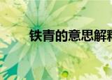 铁青的意思解释（铁青是什么意思）