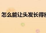 怎么能让头发长得密（让头发长得密的技巧）
