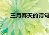 三月春天的诗句唯美（分别出自哪里）