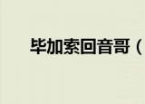 毕加索回音哥（回音哥毕加索第二弹）