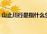 山止川行是指什么生肖（山止川行打一生肖）
