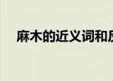 麻木的近义词和反义词（麻木的近义词）