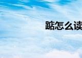 踮怎么读拼音（踮读音）
