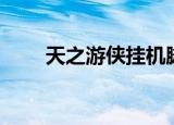 天之游侠挂机脚本（天之游侠外挂）